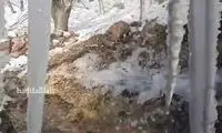 آبشار روستای تورانِ تفت قندیل بست