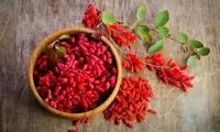 با این گیاه خوش‌رنگ ریه خود را تسکین بدهید