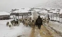 تصویر دیدنی از حجم برف در ارتفاعات تالش