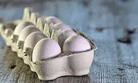 شستن و نگهداری تخم‌مرغ در یخچال ضروری است؟