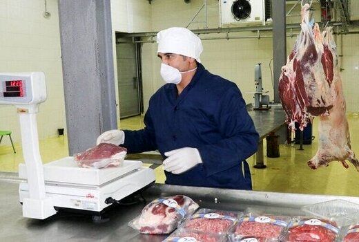 توزیع گسترده گوشت منجمد به قیمت دولتی 