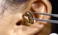 مار زنده‌ای که در گوش یک زن گیرافتاد