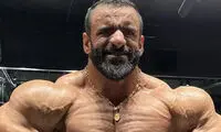 گرگ ایرانی با این تغییرات آماده شکار شد