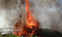 یکی از گنجینه‌های مهم ایران در آتش سوخت