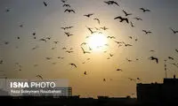 تا این تاریخ تهرانی‌ها جهنم را به چشم خواهند دید 