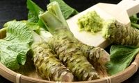 فرآیند دیدنی کاشت و برداشت ترب ژاپنی