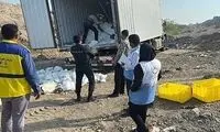 محموله مشکوک ۴ میلیاردی «زبان گاو» امحا شد