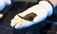 بیرون آمدن کیف پول ۱۸۰۰ ساله سرباز رومی از زیر خاک
