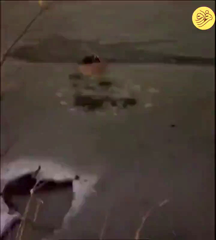 ویدئوی نجات یک سگ از برکه یخ‌زده 