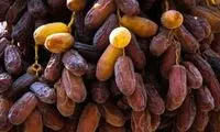 خرما هم خوراکی لوکس شد!