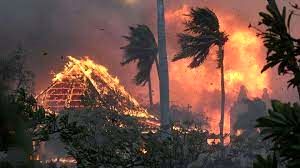 آسیب ناشی از آتش سوزی در جنگل‌های هاوایی