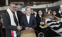 عراقچی، زن دوم دارد؟ فکر نان باشید که خربزه آب است