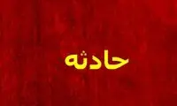 مردی بعد از 29سال مادرش را پیدا کرد