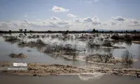 سیل قابل پیش‌بینی جنوب، چندین کشته داد