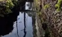 ویدئویی از ژاپن که شما را شگفت‌زده می‌کند