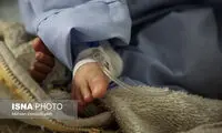هشدار طغیان «روتاویروس» در تهران