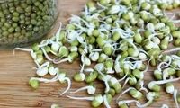 بمب ویتامین و پروتئین را بشناسید