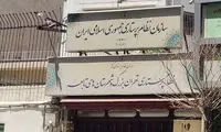 عدم پذیرش اینترنت پرو از طرف این سازمان توجه‌برانگیز شد