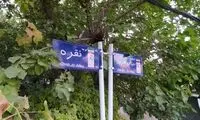 نقطه‌ای در ایران که کوچه‌ها به نام مادربزرگ‌هاست!