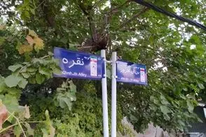 نقطه‌ای در ایران که کوچه‌ها به نام مادربزرگ‌هاست!