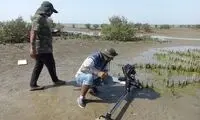 خرچنگ‌هایی به بزرگی یک بشقاب در تلویزیون!