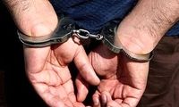 دستگیری عامل حوادث اخیر در پاساژ علاءالدین