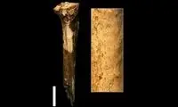 اجداد انسان‌ها همدیگر را قصابی کرده و می‌خوردند