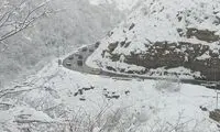 تصاویری زیبا از بارش شدید برف در جاده چالوس
