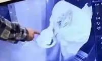 شیوه باورنکردنی سرقت با چادر و آش نذری!