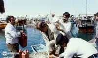 عکس‌های ناصر تقوایی: از نفرین بهروز وثوقی تا بدرقه خسرو شکیبایی!