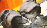 سند حیات غول‌ها در کره زمین پیدا شد