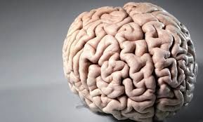 تصویری بسیار عجیب از مغز یک آلزایمری!