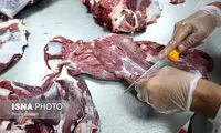 چند نکته درباره پخت گوشت و مرغ فریز شده