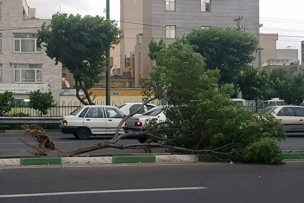 حوادث اولین بارش باران پاییزی در تهران 