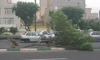 حوادث اولین بارش باران پاییزی در تهران 
