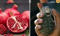 سفارش نارنجک به جای آب انار، توریست را به دردسر انداخت!