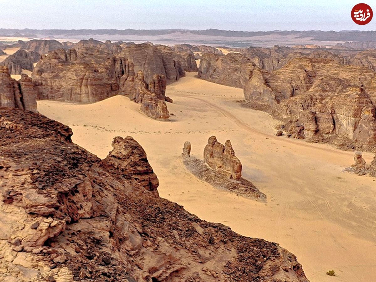 یک کشف غیرمنتظره در عربستان که در جهان بی‌نظیر است