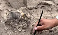 معمای مومیایی مدفون زیر کوهی از زباله