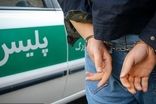 دستگیری سارقان خانه‌های اجاره‌ای یک‌ روزه در تهران 