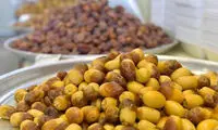 معروف‌ترین خرمای ایران در جهان کدام است؟
