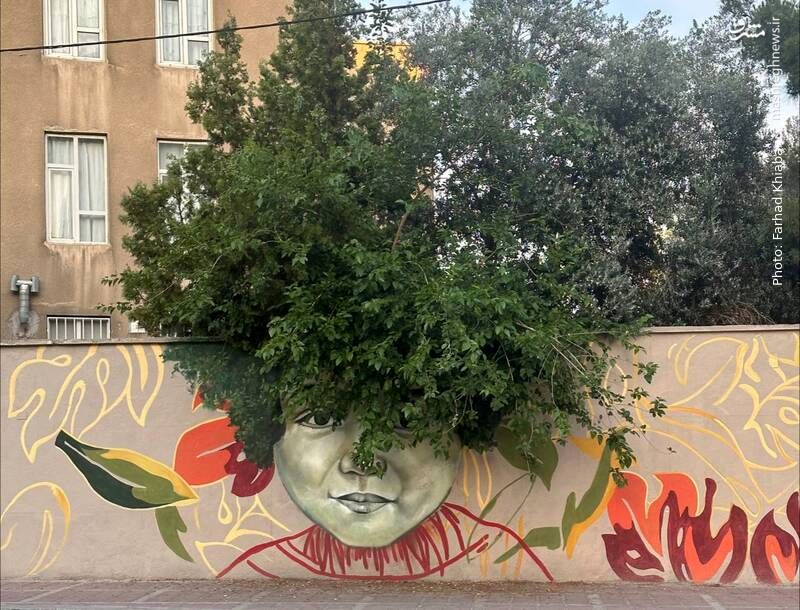 خلاقیت تماشایی در یکی از خیابان های تهران