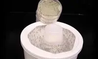 وقتی عطر گل به سلاحی برای کشتن پشه‌ها تبدیل شد!
