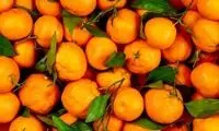 خواص باورنکردنی نارنگی برای 100نوع بیماری