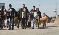 خبر غافلگیرکننده: ۴میلیون افغان از ایران خواهند رفت
