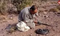 این مارگیر مشهور مراکشی با مارهای سمی حرف میزند!