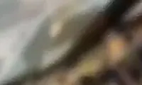 غوغای یک مادر و دختر در جشن پایان رابطه با رل!