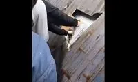 کشف یک کانتینر گوشی آیفون ۱۴ در وسط دریا