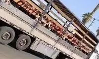 مدیر مدرسه غیردولتی جهرم برکنار شد