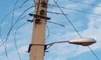 ببینید؛ دزدی کابل برق در آرامش محض!