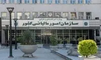 سوت‌زنی مالیاتی رسمی شد